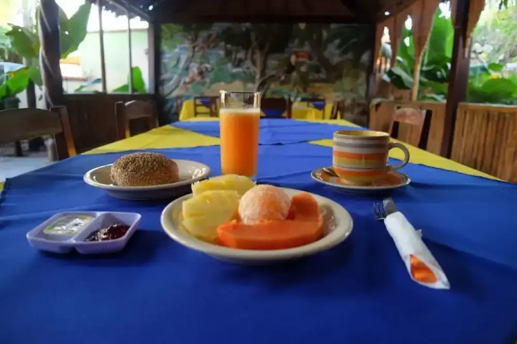 Hotel Ambaibo
