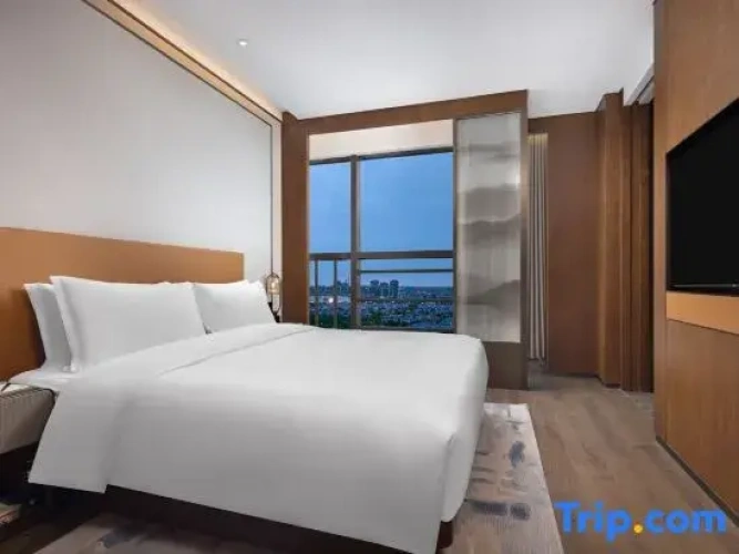 Executive Double Suite
