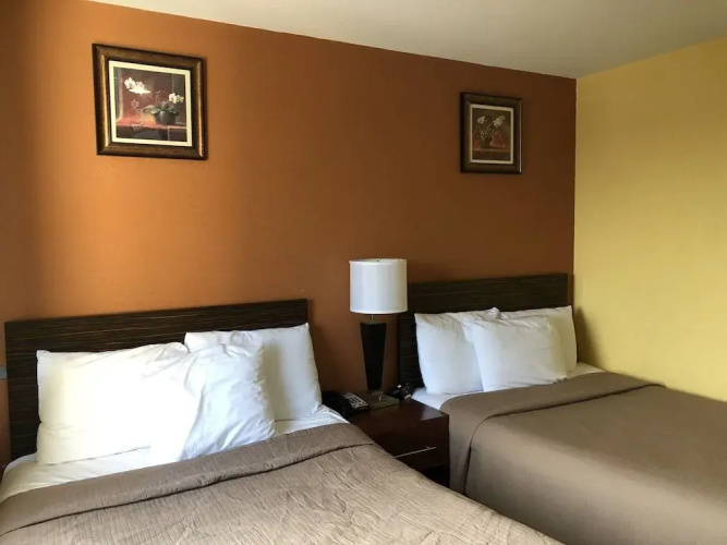 The Vue Hotel Express