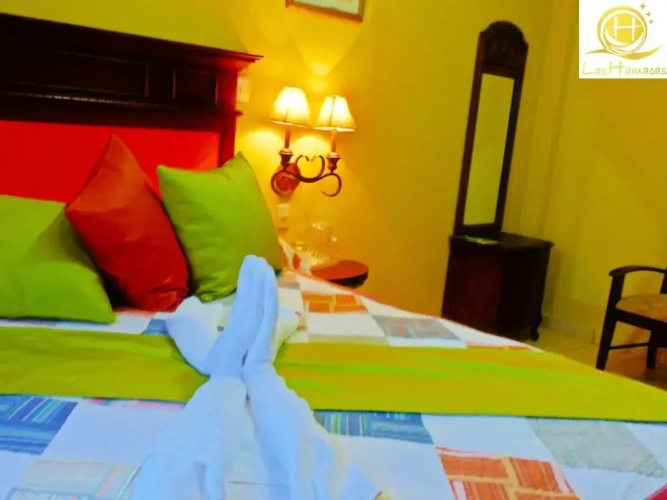 Classic Single room