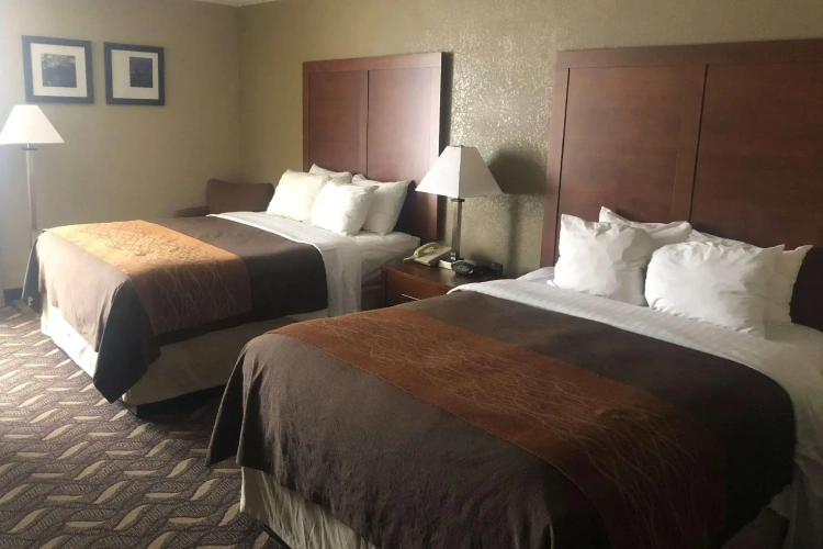Quadruple Studio Suite