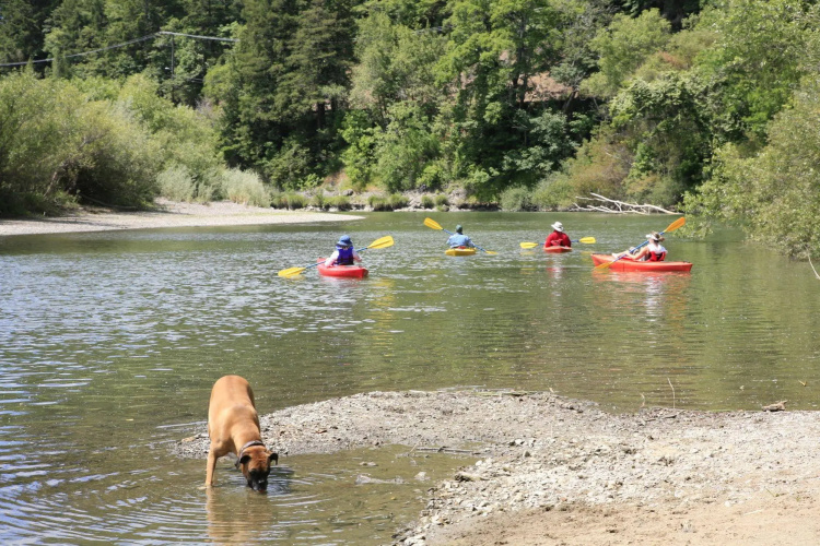 Dawn Ranch Lodge photo 29