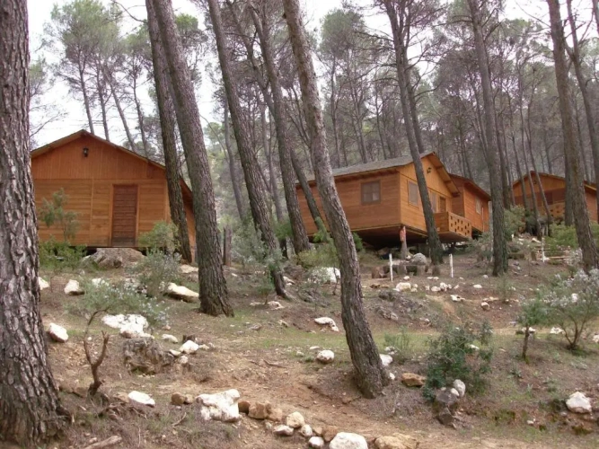 2 Bedrooms Bungalow