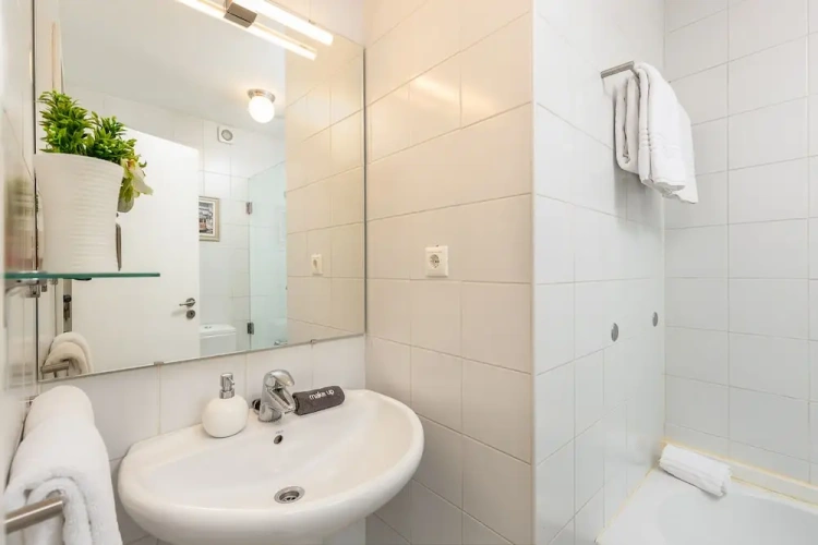 1 Bedroom Standard Apartment