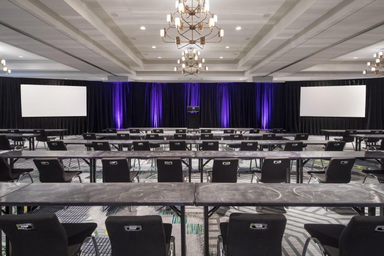 Hotel Colee, Atlanta Buckhead, Autograph Collection photo 6