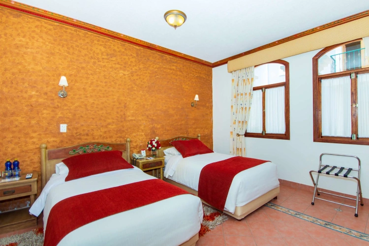 Deluxe Twin room