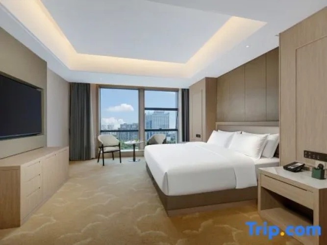 1 Bedroom Suite with canal view
