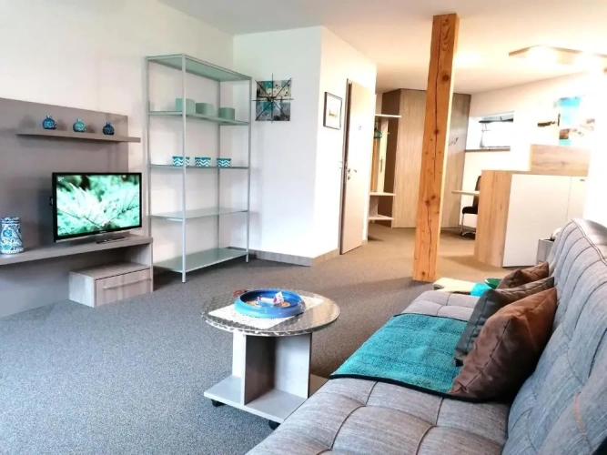 Superior Apartment