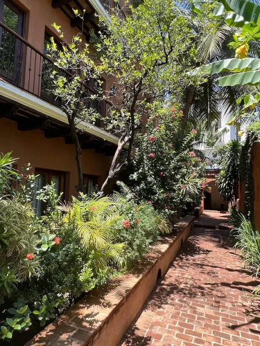 Paseo Colonial - Ermitage 5