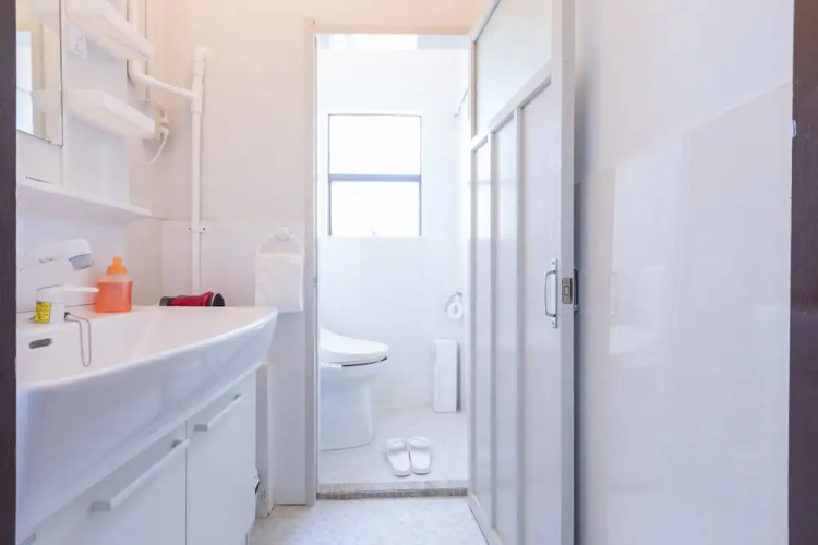 Almas Guest House - Hostel