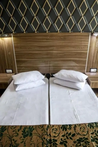 Standard Double room with mountain view