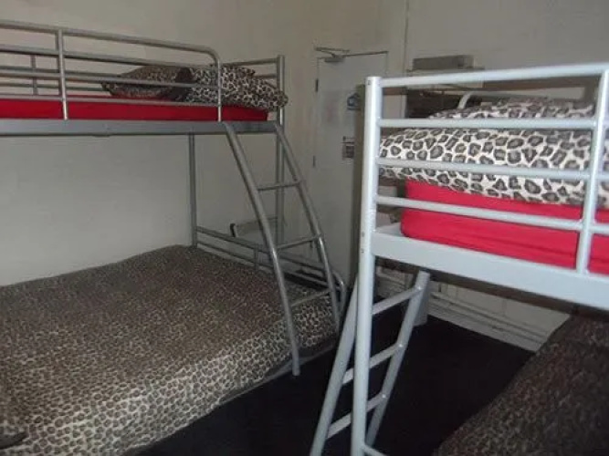 The Hangover Hotel - Hostel