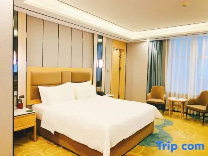 Executive Single room