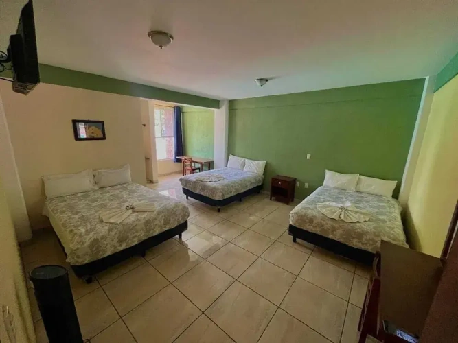Standard Triple Family room