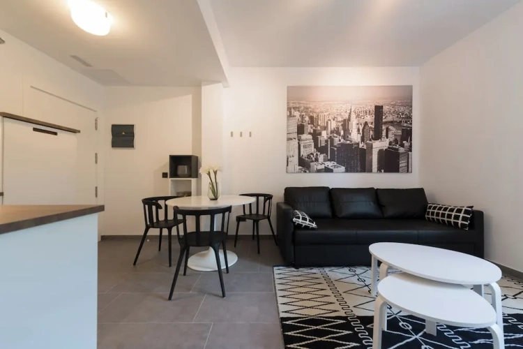 Twin Apartment with park view