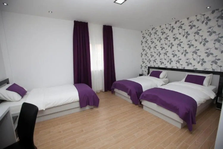 Standard Double room with balcony and with view