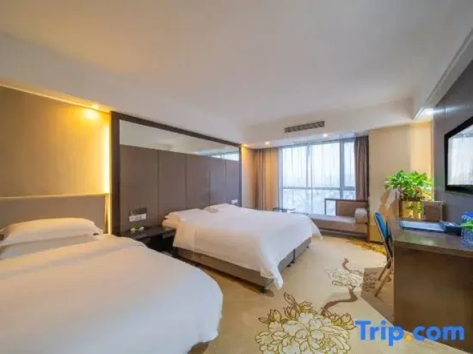 Double Suite with city view