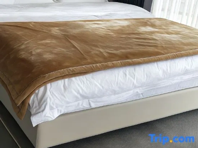 1 Bedroom Standard Double room