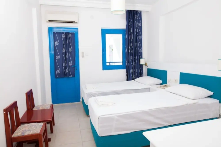 Standard Twin room with balcony and with garden view