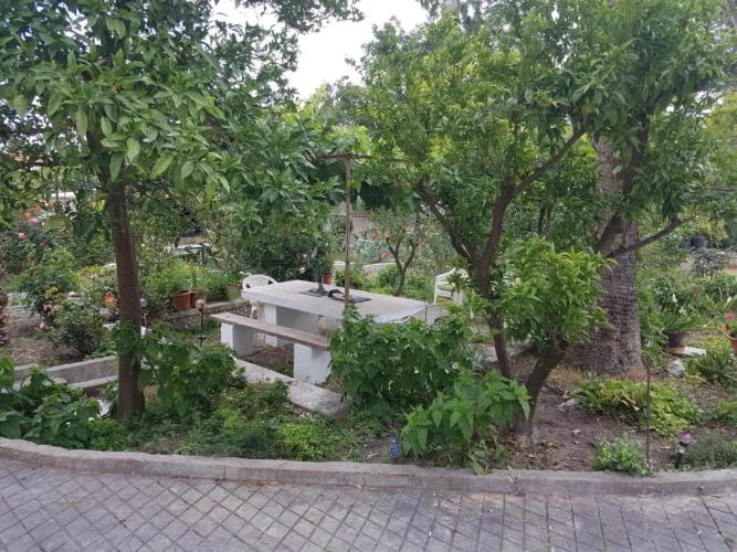 1 Bedroom Apartment with view