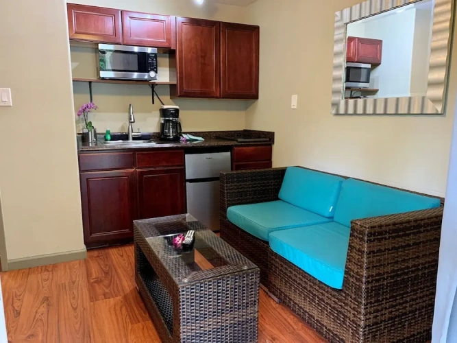 1 Bedroom Classic Suite