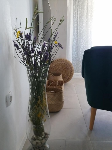 2 Bedrooms Apartment with sea view