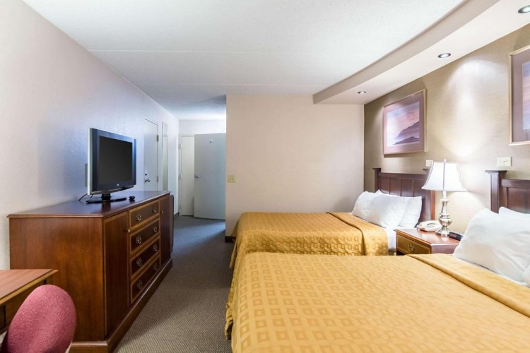Standard Double room with pool view