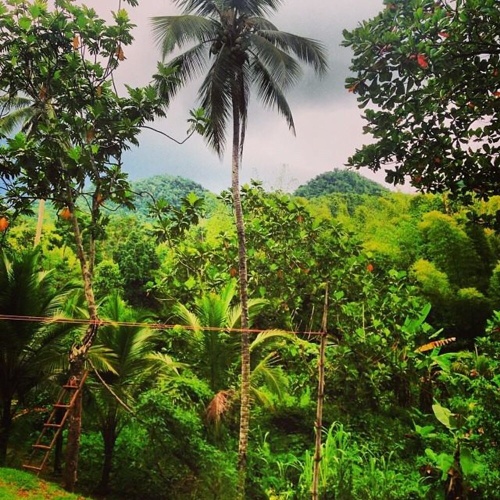 Standard Double room with mountain view