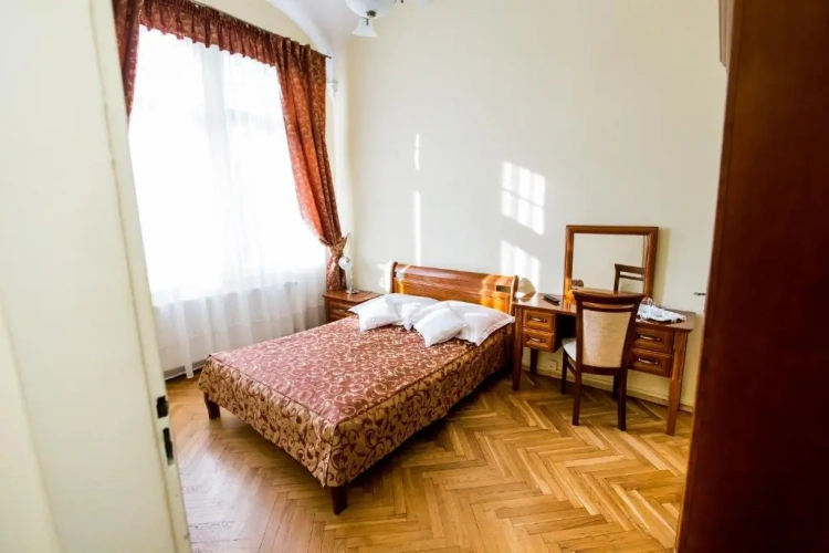 Standard Single room with park view
