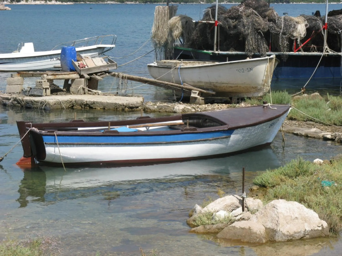 Vila Ruža