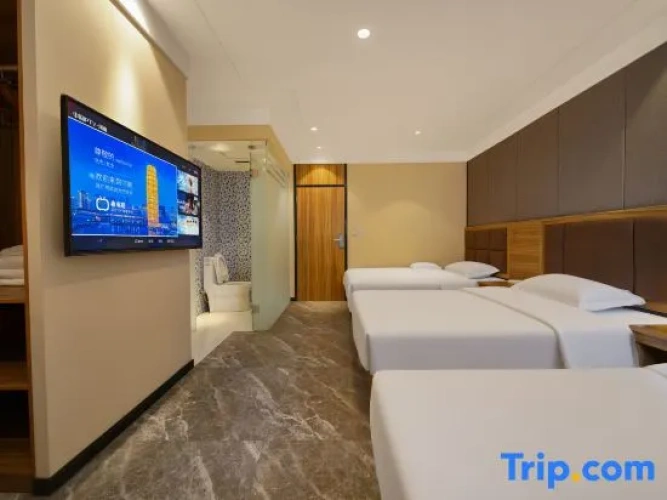 Triple Suite