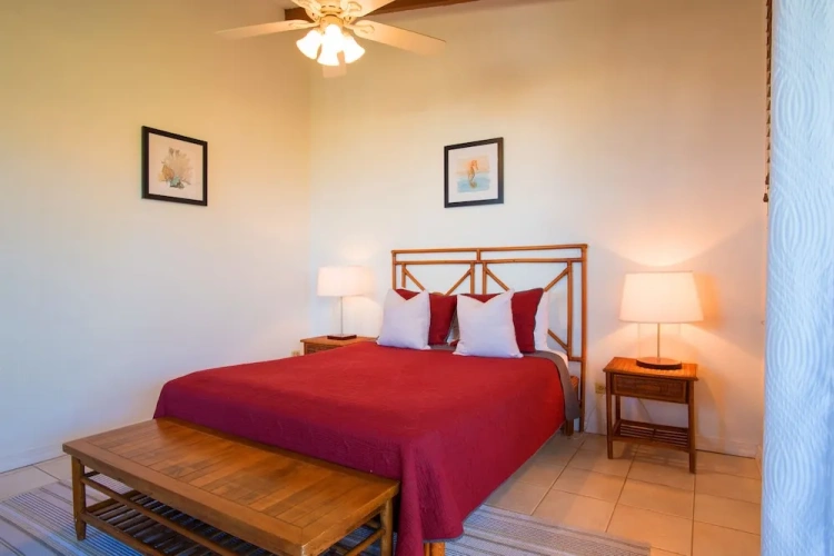 Premium Double Apartment with balcony and with garden view