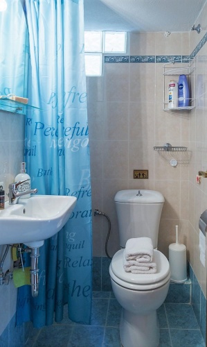 Standard Double room with balcony and with garden view