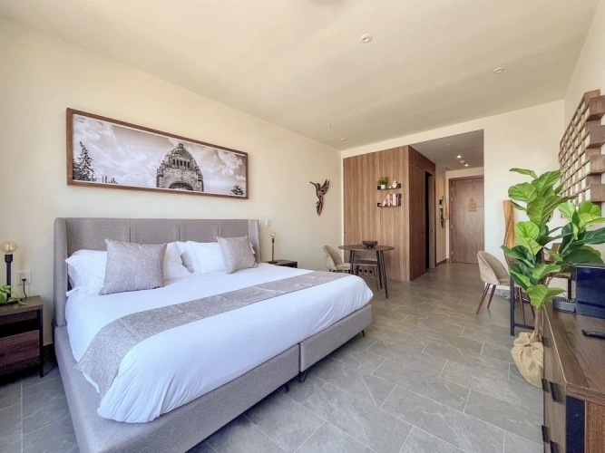 Luxury Apartment