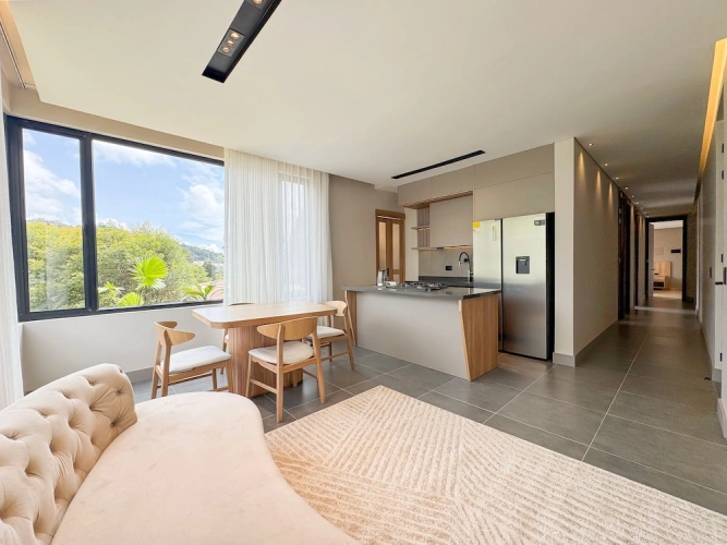 Deluxe Apartment