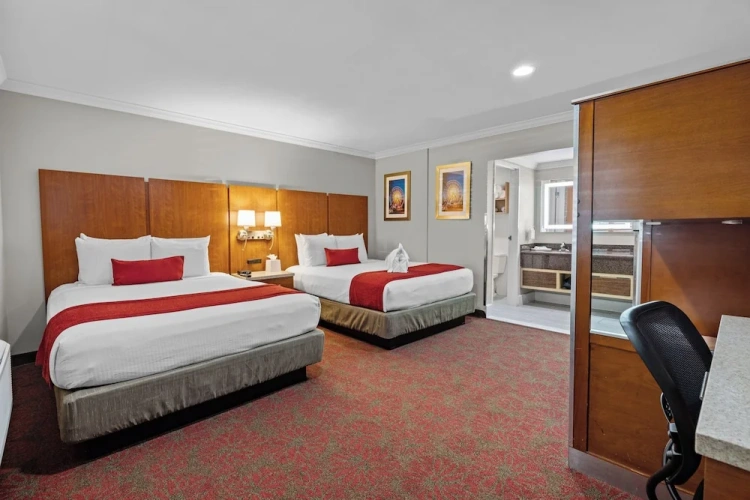 Deluxe Sextuple room