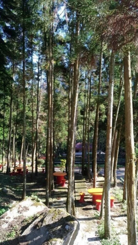 Chun Gu Farm