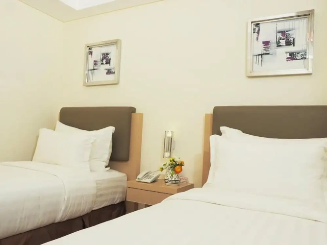 Superior No Window Twin room