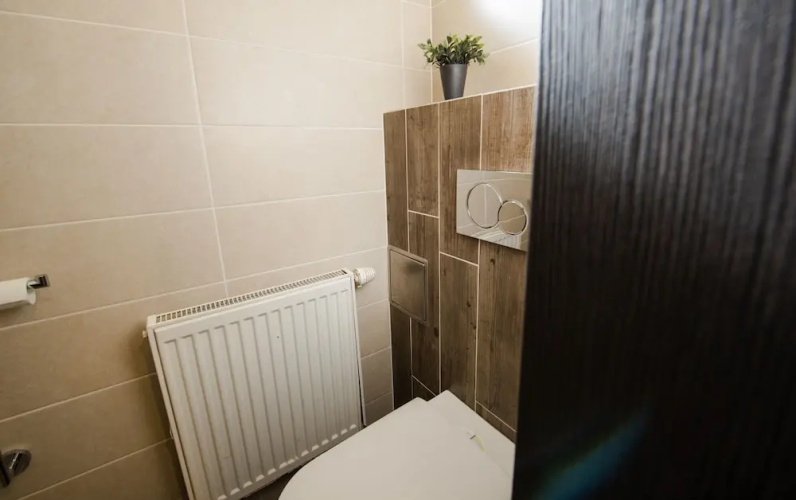 Apartments Viktor