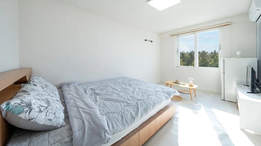 1 Bedroom Standard room with land view