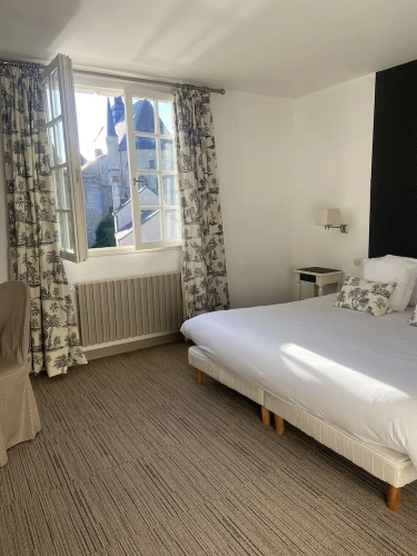 Deluxe Double room with park view