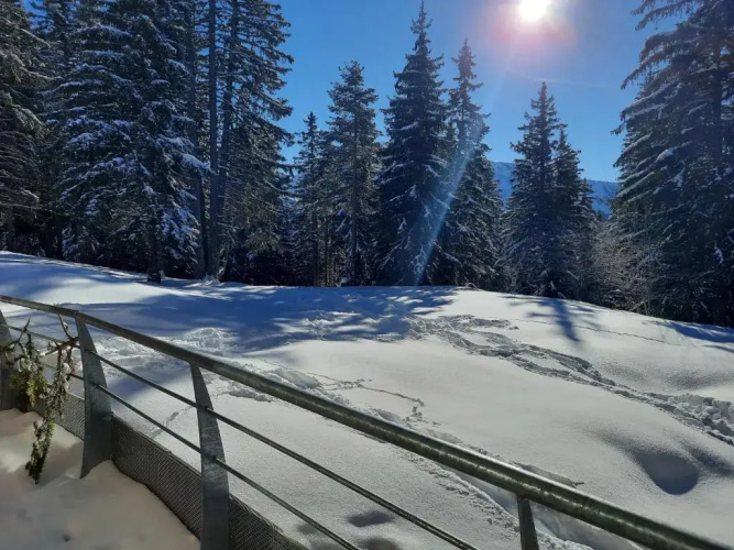 La Petite Foret Chamrousse 1700