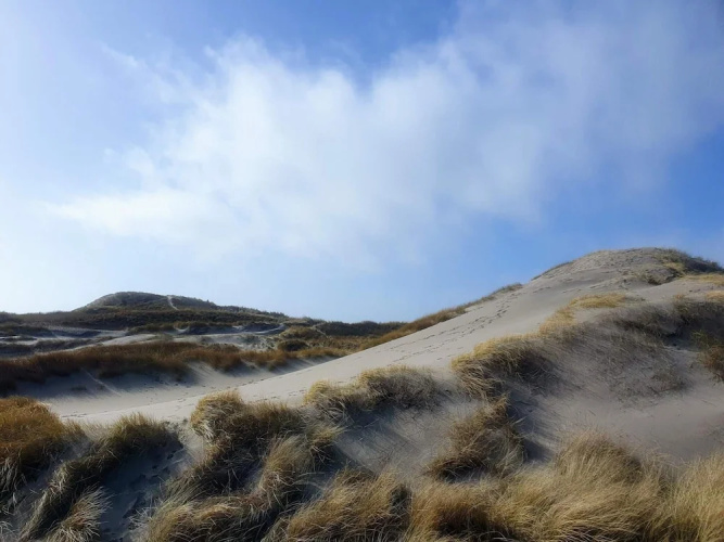 Cozy Dune Retreat Near Sea - By Traum Ferienwohnungen