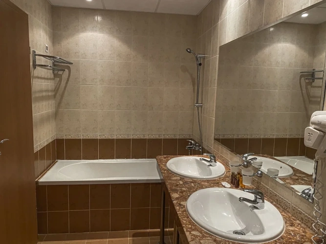 1 Bedroom Standard Family room with balcony and with park view