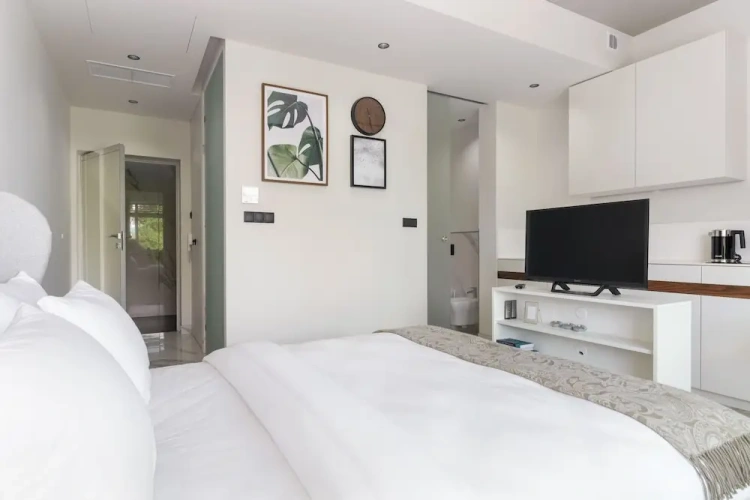 Deluxe Double Apartment with city view