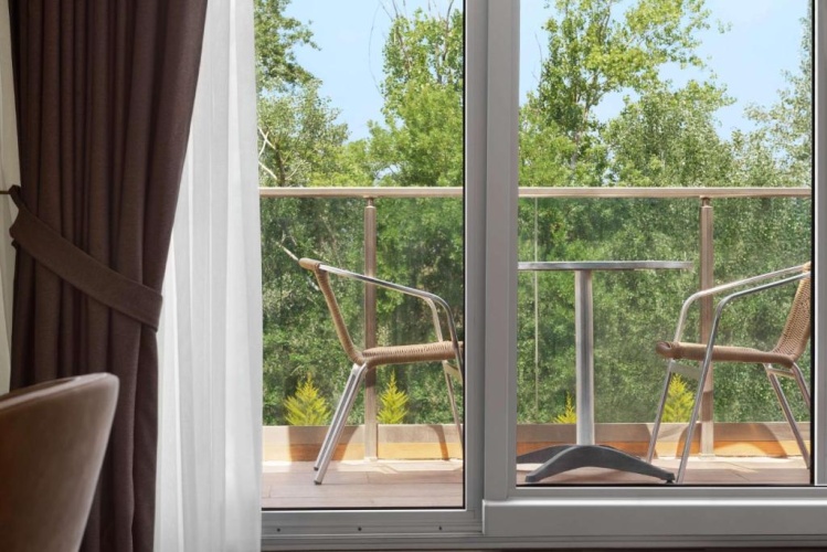 Standard Twin room with balcony and with garden view