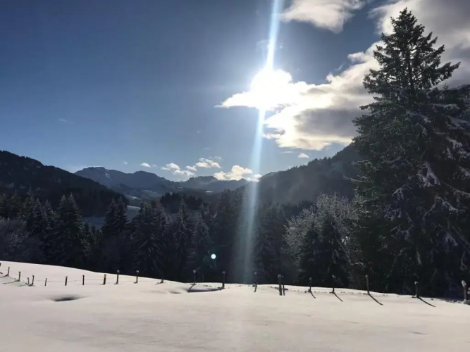 Jungholz Chalet 65