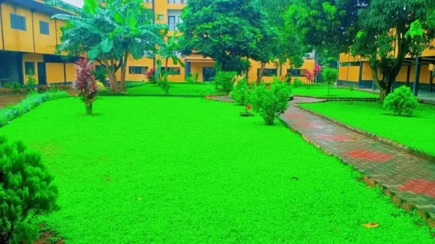 Guim'S Square Hotel