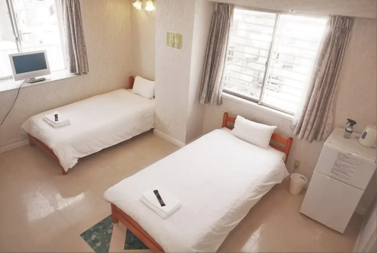 Standard Twin room with city view