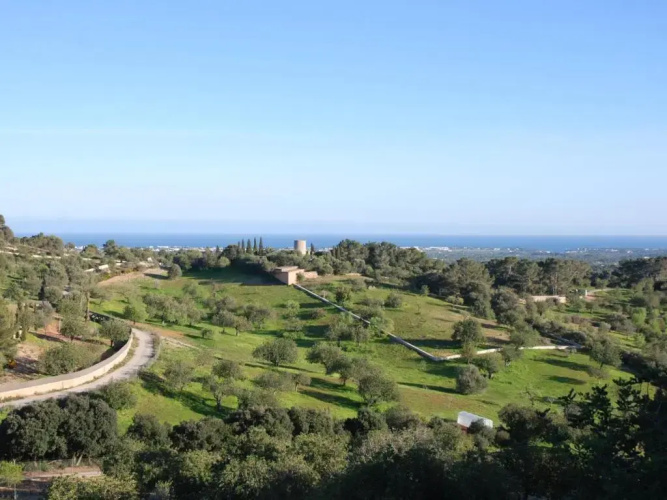 Puig de sa figuera